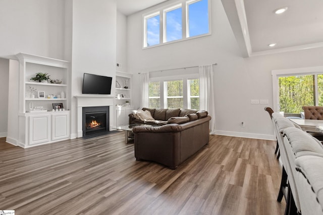 901 Whitemarsh Ave, Simpsonville, SC 29680 - living area featuring a high ceiling, baseboards, and a healthy amount of sunlight