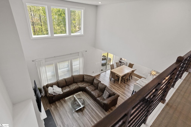 901 Whitemarsh Ave, Simpsonville, SC 29680 - living area with baseboards, wood finished floors, plenty of natural light, and a towering ceiling