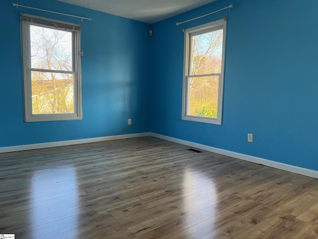 empty room featuring plenty of natural light and wood finished floors