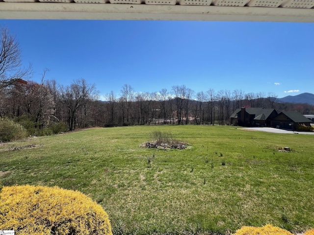 view of yard