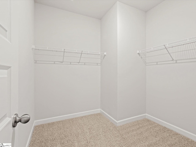 217 Merriweather Way, Spartanburg, SC 29302 - walk in closet featuring carpet floors