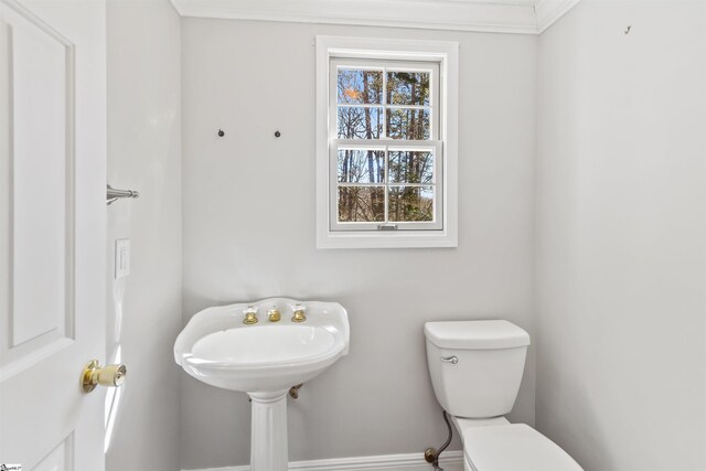 half bathroom with crown molding and toilet
