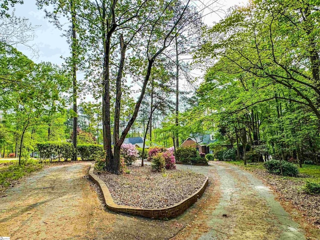view of property's community