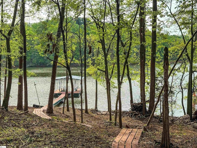 property view of water featuring a wooded view