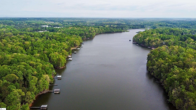 birds eye view of property featuring a water view and a view of trees