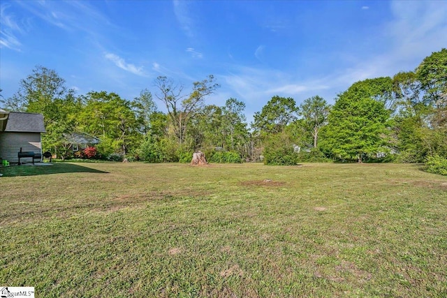 view of yard