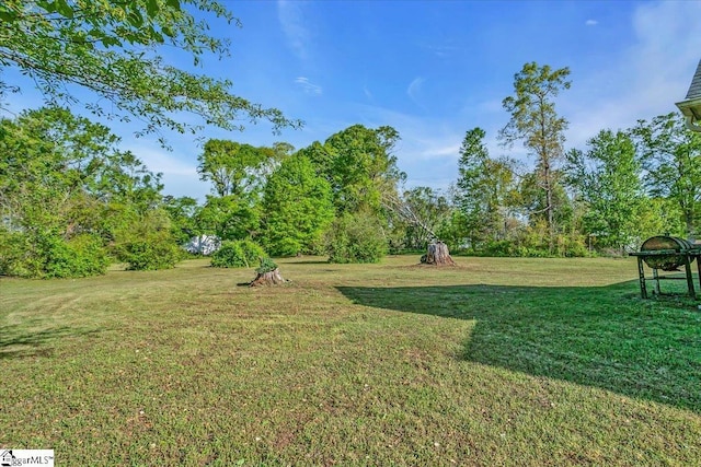 view of yard