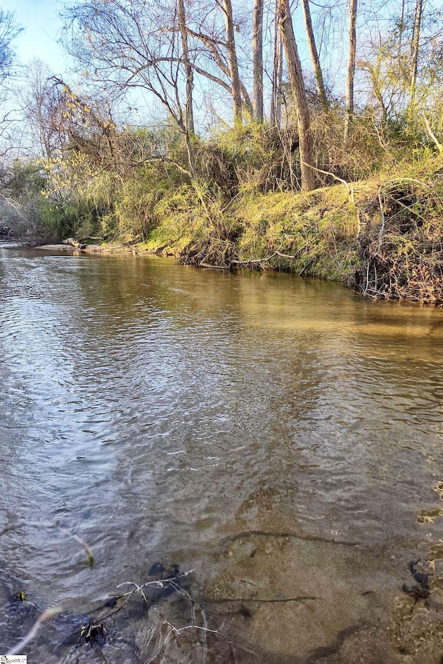 1337 Millrock Church Rd, Gray Court, SC 29645 - water view