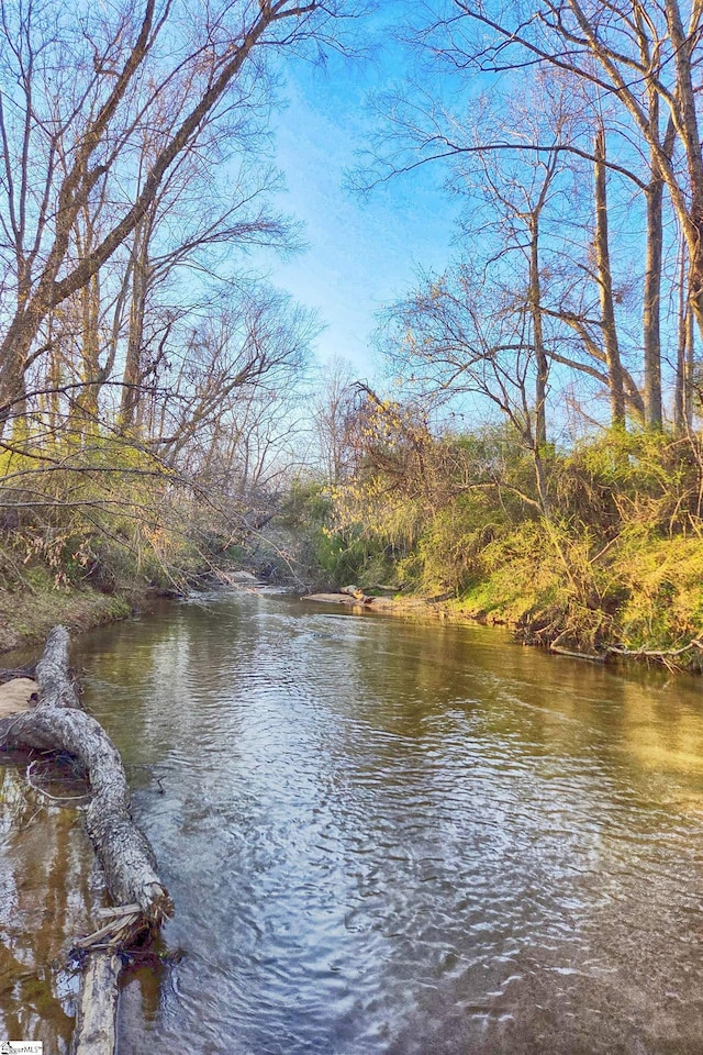 1337 Millrock Church Rd, Gray Court, SC 29645 - view of water feature