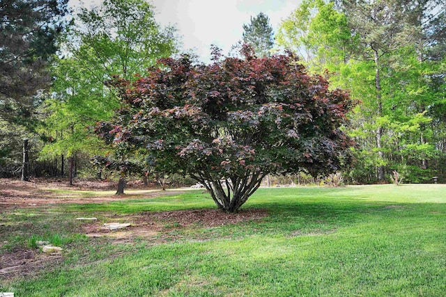 1337 Millrock Church Rd, Gray Court, SC 29645 - view of yard