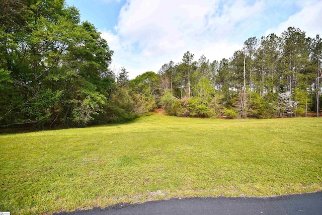 1337 Millrock Church Rd, Gray Court, SC 29645 - view of yard