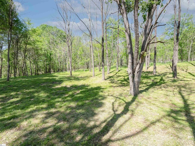 242 Queensbury Way, Spartanburg, SC 29302 - view of yard featuring a forest view