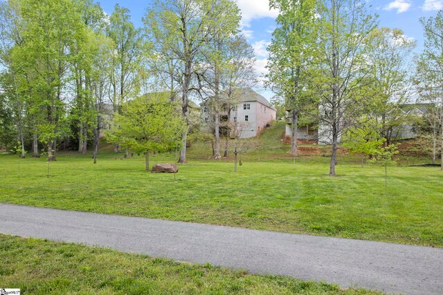 47 Park Vista Way, Greenville, SC 29617 - view of yard
