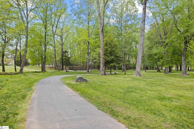 47 Park Vista Way, Greenville, SC 29617 - view of home's community with aphalt driveway and a yard