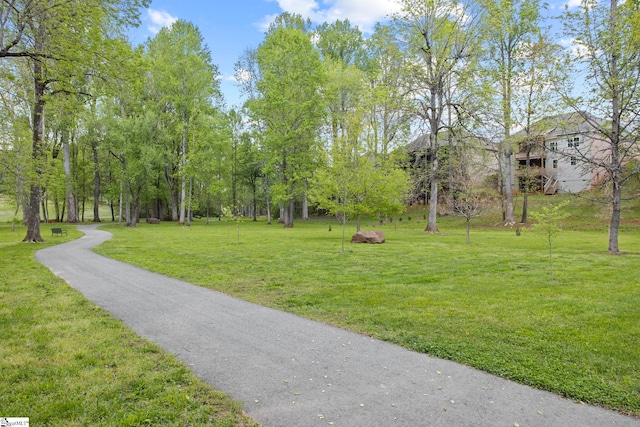 47 Park Vista Way, Greenville, SC 29617 - view of property's community featuring a yard