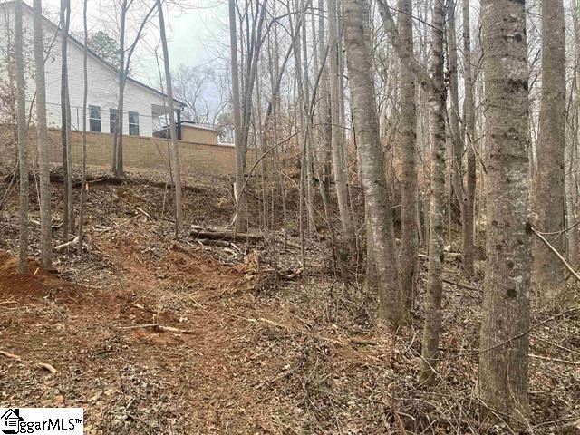 163 Rockingham Rd, Duncan, SC 29334