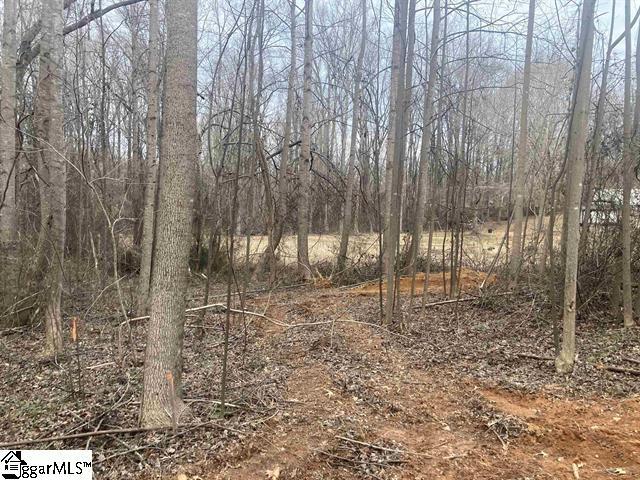 163 Rockingham Rd, Duncan, SC 29334