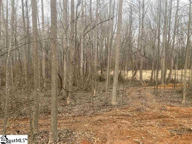 163 Rockingham Rd, Duncan, SC 29334