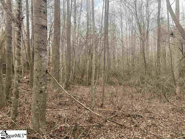 163 Rockingham Rd, Duncan, SC 29334