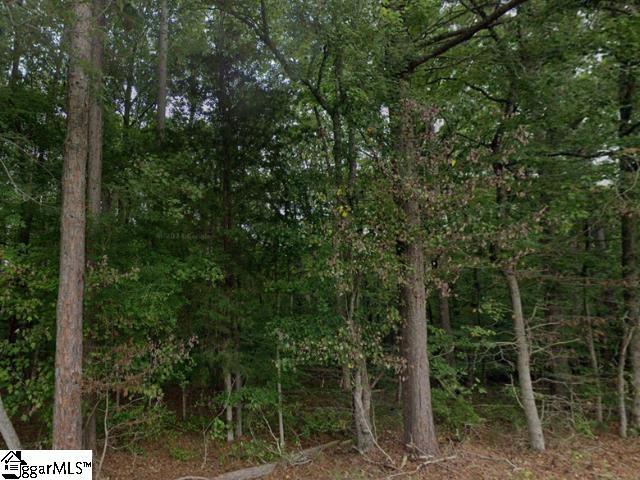 960 Brook Rd, Clinton, SC 29325