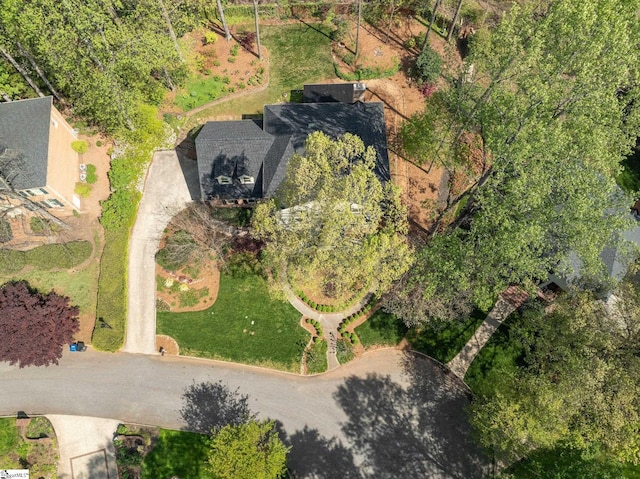 bird's eye view