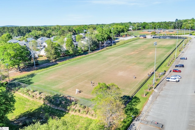 bird's eye view