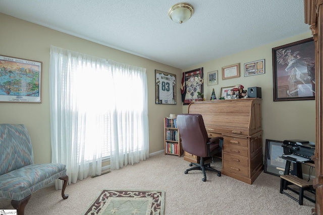 38 River Park Ln, Taylors, SC 29687 - office space featuring a textured ceiling and carpet flooring