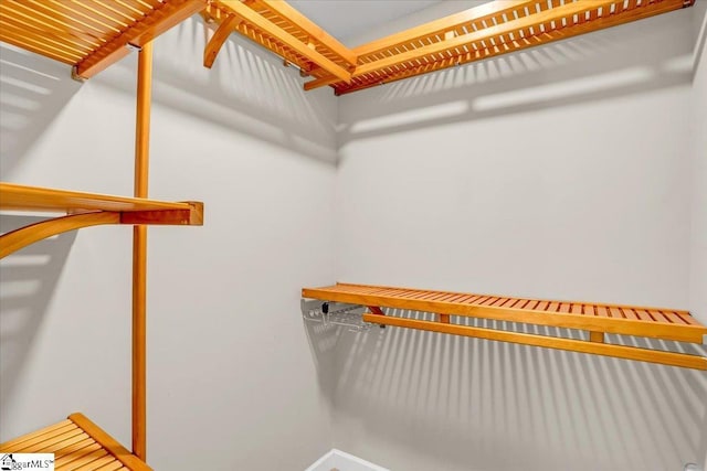 view of walk in closet
