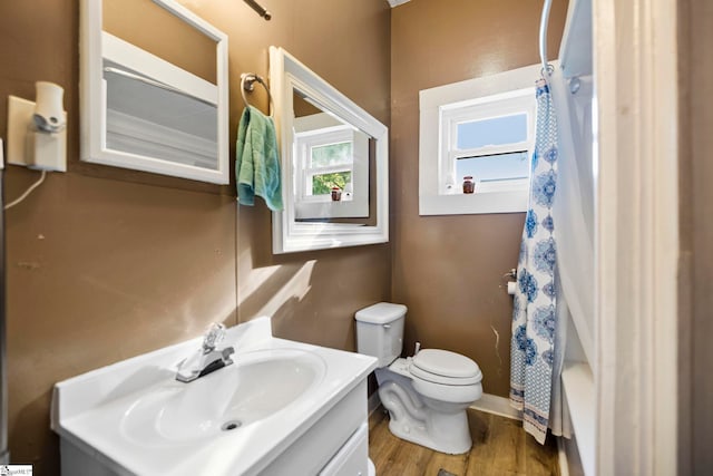 408 S 2nd St, Easley, SC 29640 - bathroom with toilet, wood finished floors, vanity, and a healthy amount of sunlight