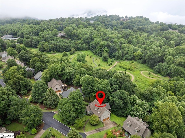 125 Raptor Way, Landrum, SC 29356 - drone / aerial view