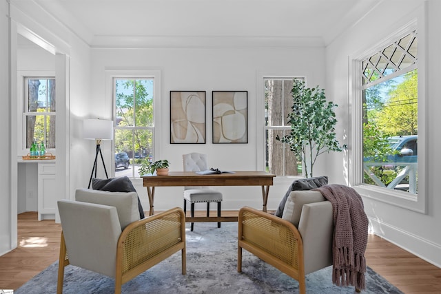 office with a wealth of natural light, ornamental molding, wood finished floors, and baseboards