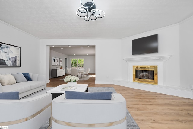 living room featuring ornamental molding, wood finished floors, and a fireplace