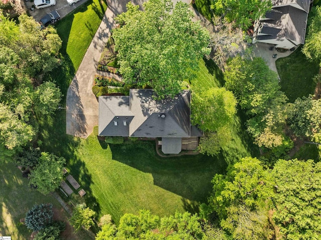 bird's eye view