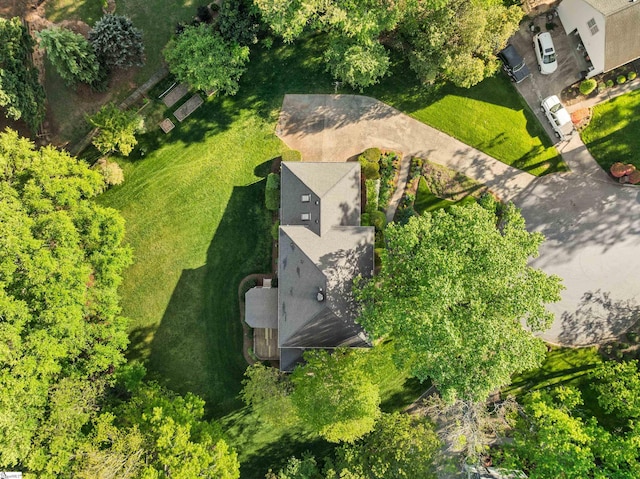 bird's eye view