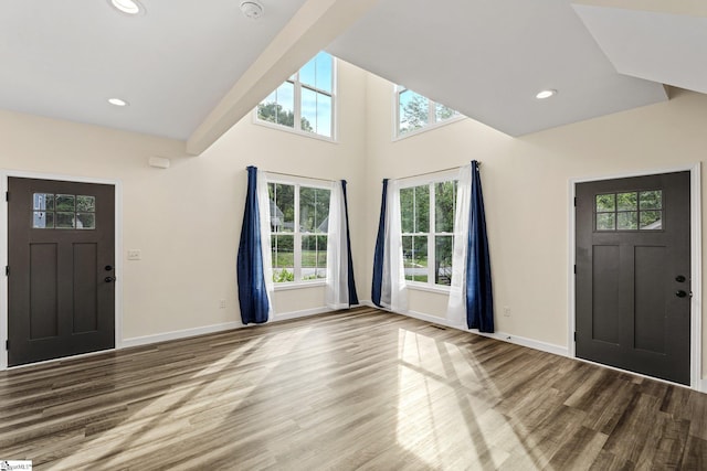 foyer entrance featuring baseboards, a healthy amount of sunlight, and wood finished floors