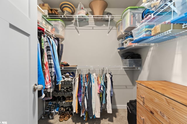 spacious closet with carpet