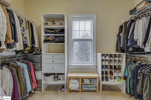 102 Beckworth Dr, Taylors, SC 29687 - view of spacious closet
