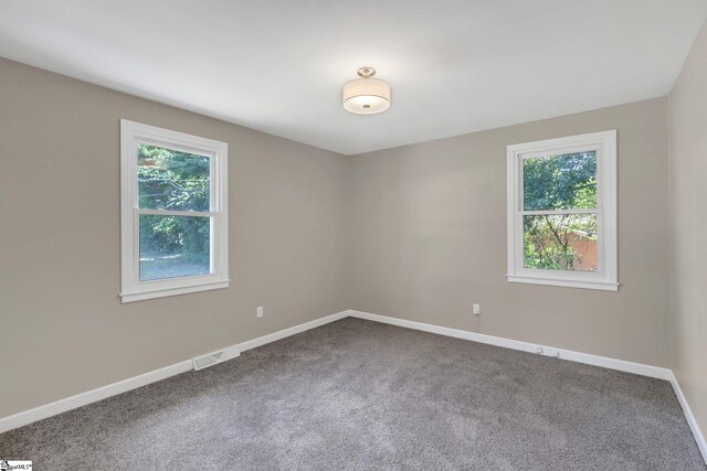 empty room featuring plenty of natural light, visible vents, and carpet