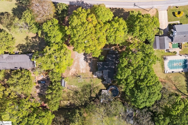 bird's eye view