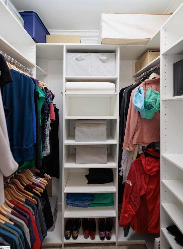 view of spacious closet