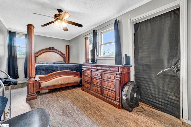 bedroom with crown molding, multiple windows, and a textured ceiling