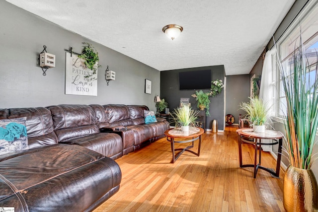 living room featuring a textured ceiling and light wood-style floors