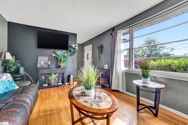 living room with wood-type flooring, baseboards, and a textured ceiling