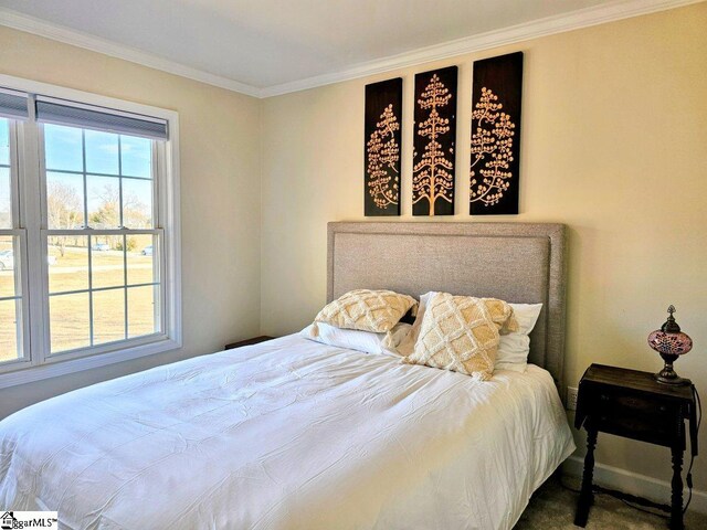 949 Jones Mill Rd, Fountain Inn, SC 29644 - bedroom featuring baseboards and ornamental molding