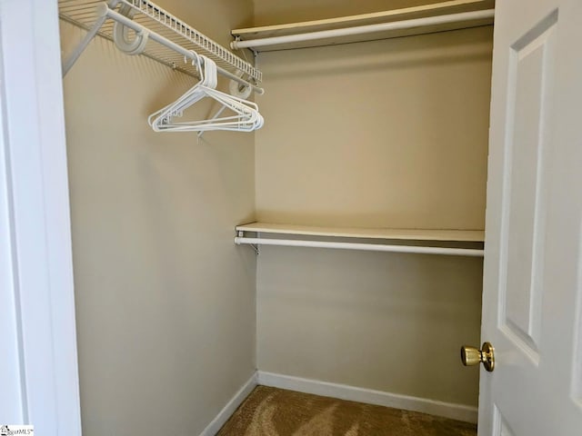 949 Jones Mill Rd, Fountain Inn, SC 29644 - walk in closet with dark carpet