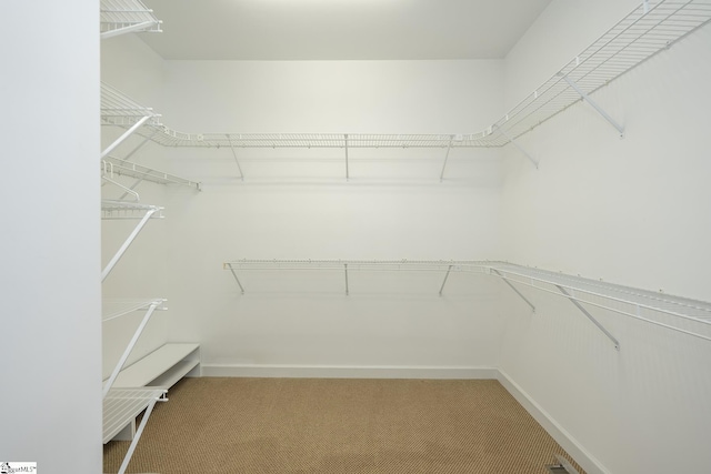 walk in closet featuring light carpet