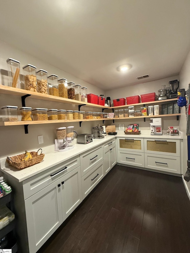 204 Thackston St, Fountain Inn, SC 29644 - pantry with visible vents