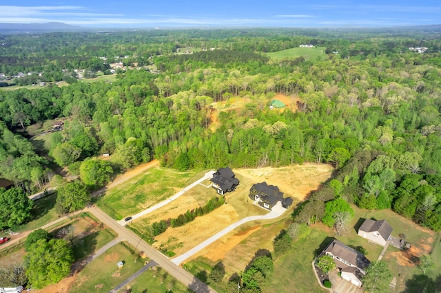 545 E Airport Rd, Greer, SC 29651 - bird's eye view with a view of trees