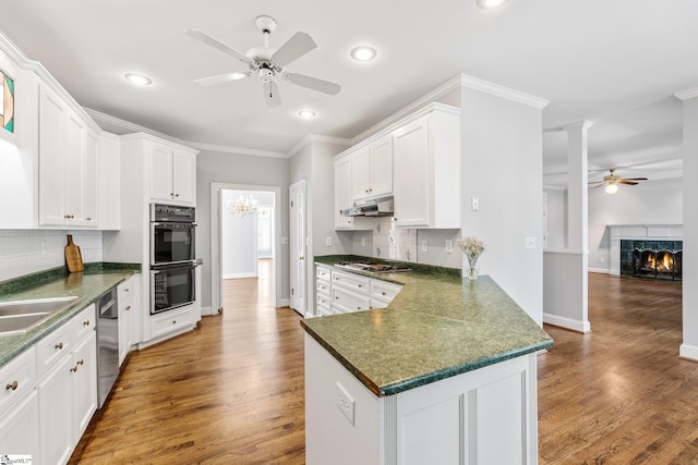 8 Atchison Way, Simpsonville, SC 29680 - kitchen with white cabinets, stainless steel appliances, dark countertops, a fireplace, and ceiling fan with notable chandelier