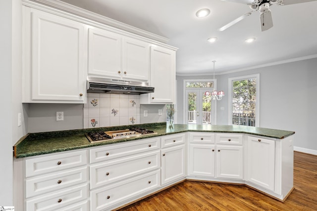8 Atchison Way, Simpsonville, SC 29680 - kitchen featuring stainless steel gas stovetop, under cabinet range hood, wood finished floors, a ceiling fan, and crown molding